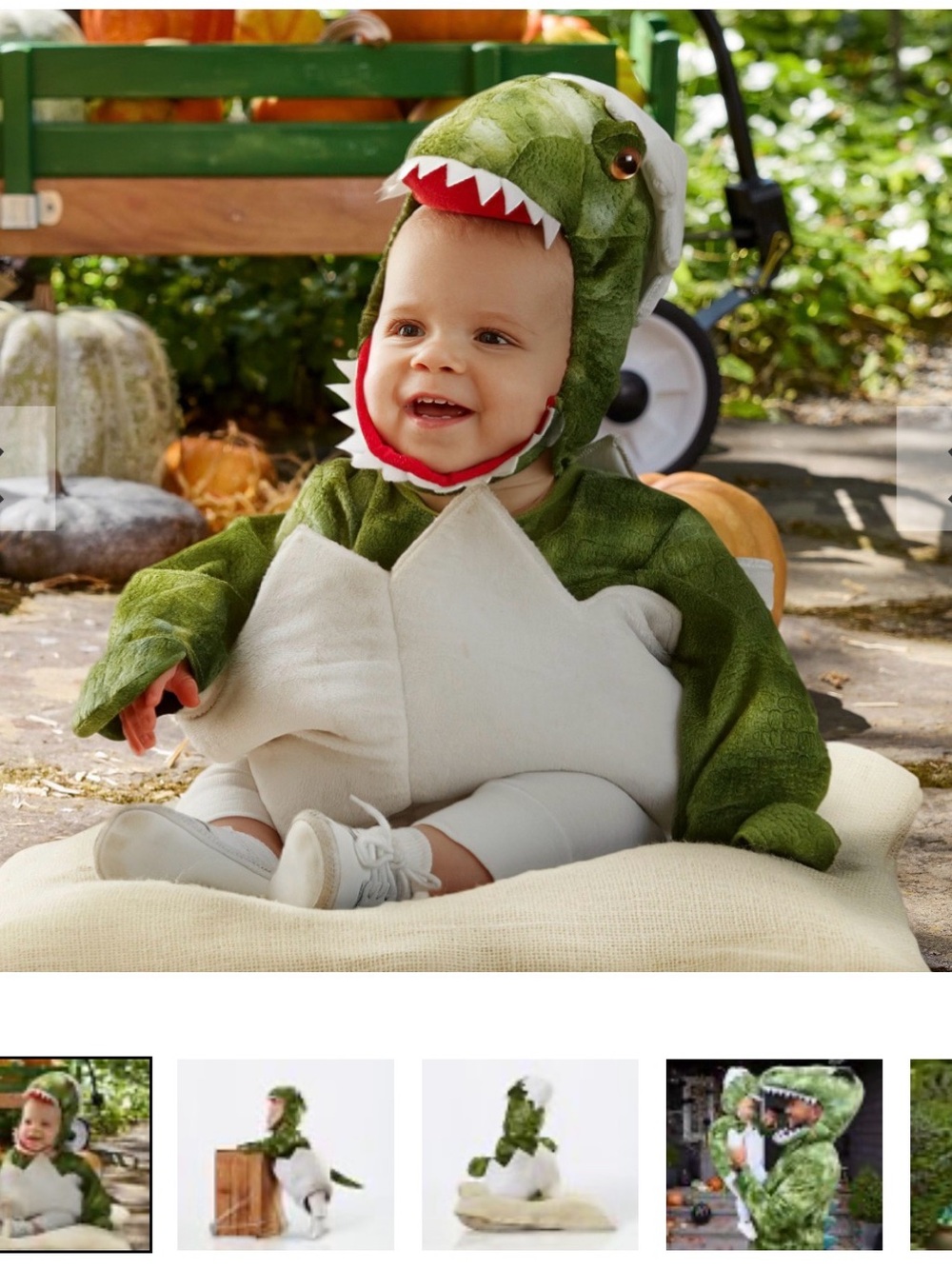 Pottery Barn Kids Baby T Rex Egg Costume